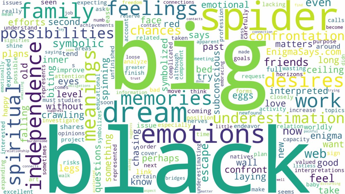 dream about big black spider and related dreams with their meanings in a word cloud