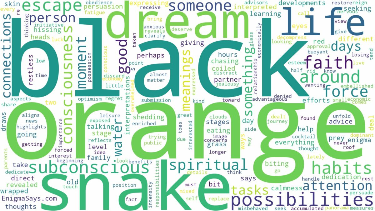 dream about black and orange snake and related dreams with their meanings in a word cloud