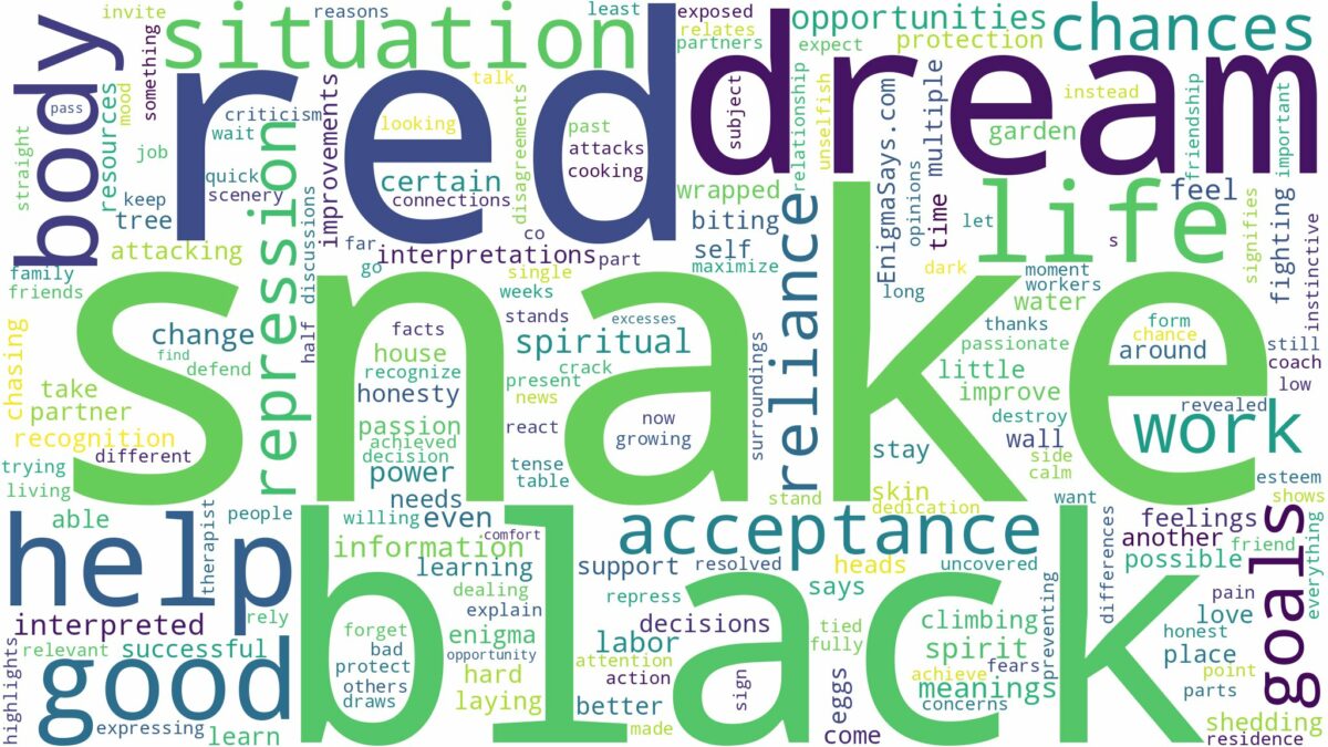 dream about black and red snake and related dreams with their meanings in a word cloud