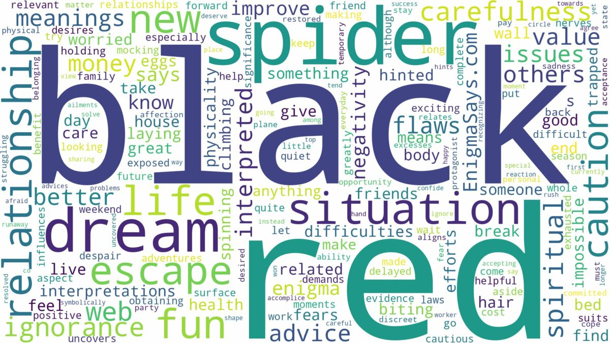 dream about black and red spider and related dreams with their meanings in a word cloud