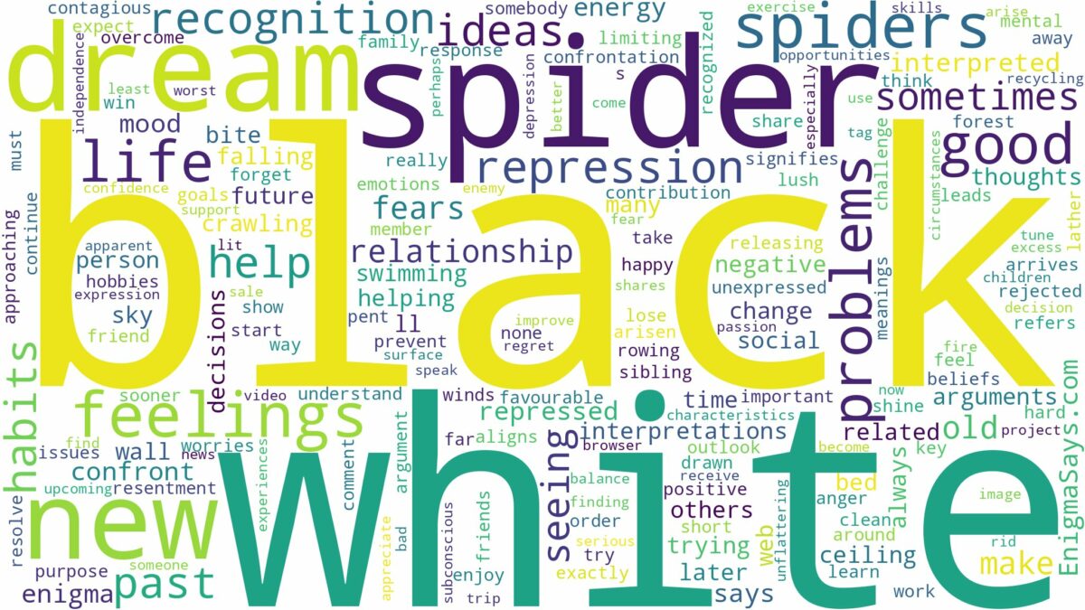 dream about black and white spider and related dreams with their meanings in a word cloud