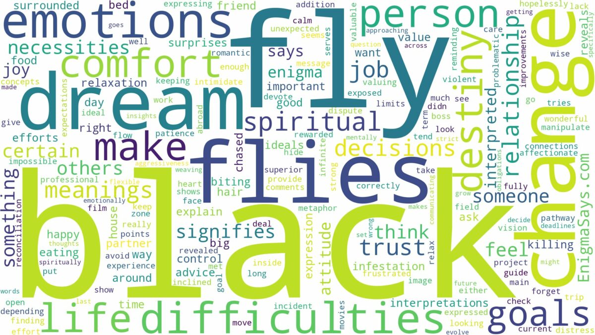 dream about black fly and related dreams with their meanings in a word cloud