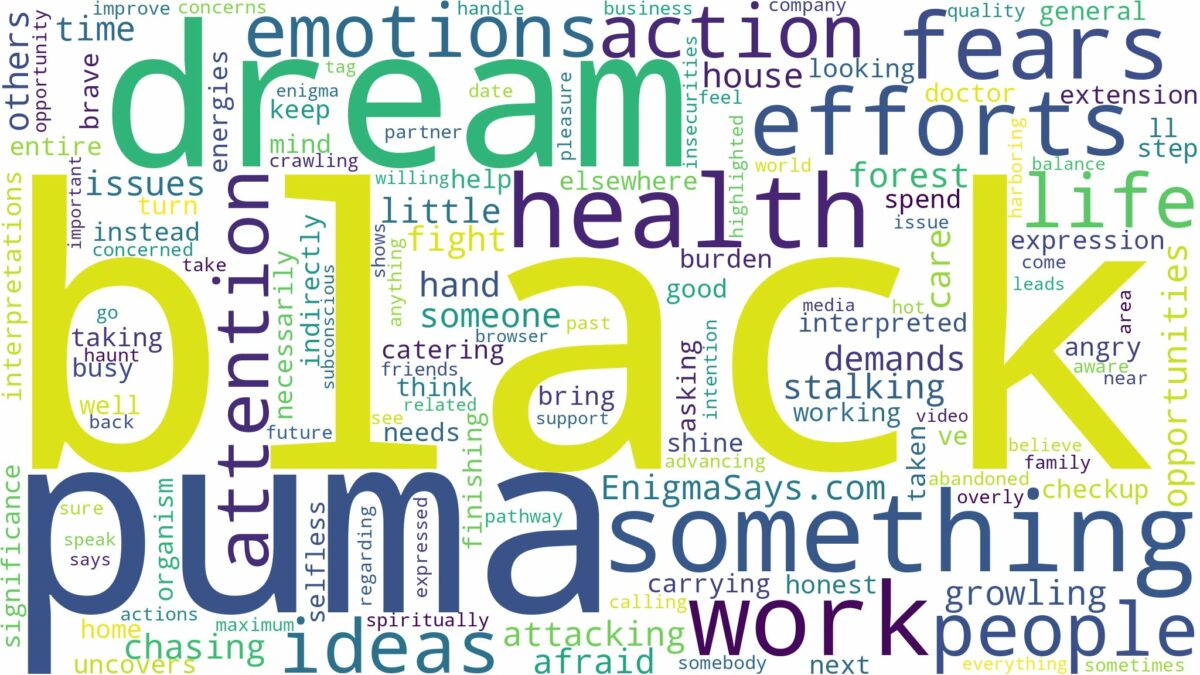 dream about black puma and related dreams with their meanings in a word cloud