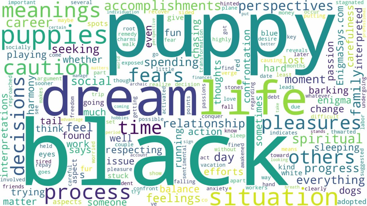 dream about black puppy and related dreams with their meanings in a word cloud