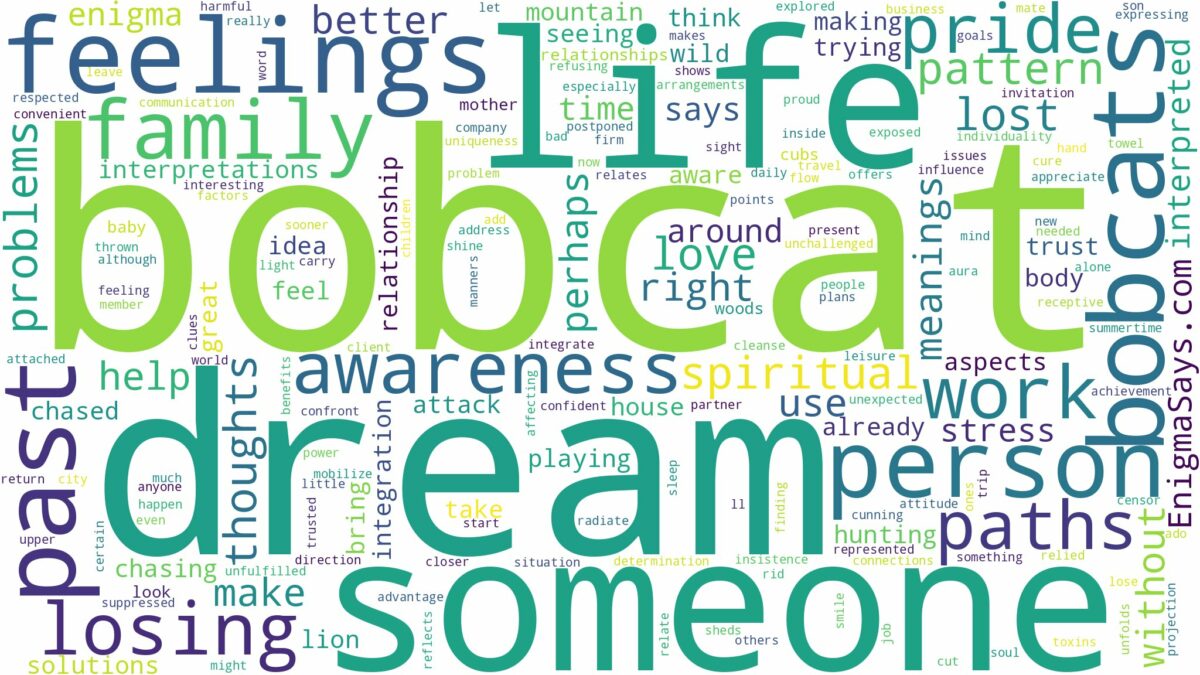 dream about bobcat and related dreams with their meanings in a word cloud