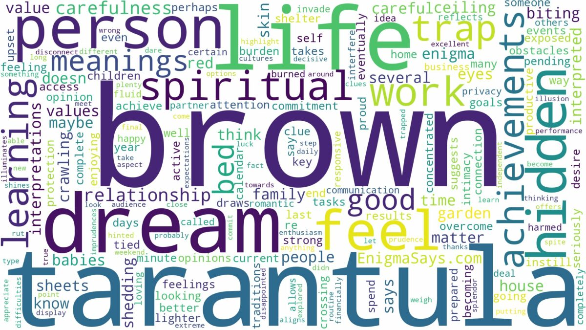 dream about brown tarantula and related dreams with their meanings in a word cloud