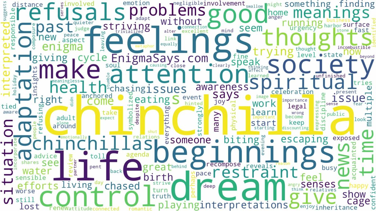 dream about chinchilla and related dreams with their meanings in a word cloud