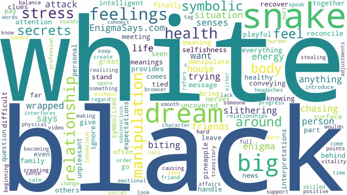 dream about big black and white snake and related dreams with their meanings in a word cloud