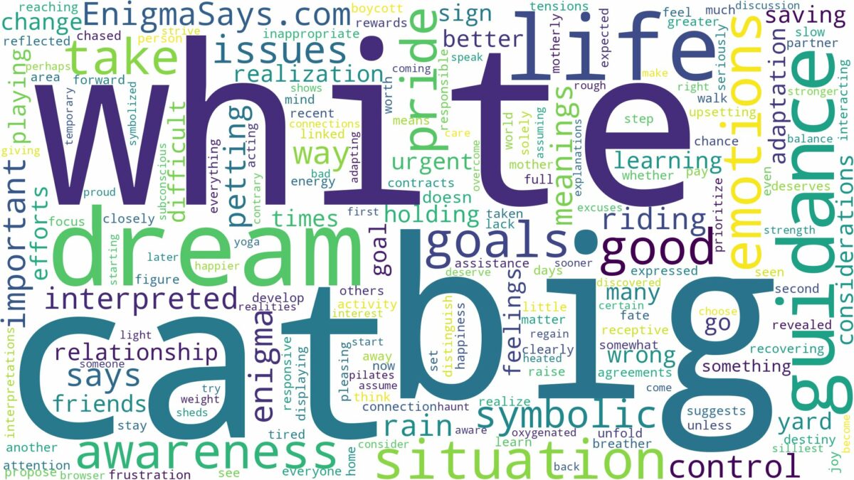 dream about big white cat and related dreams with their meanings in a word cloud