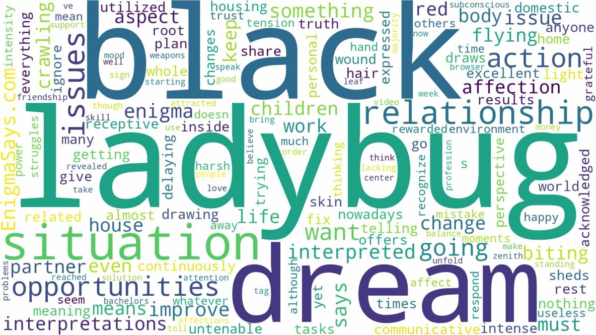 dream about black ladybug and related dreams with their meanings in a word cloud