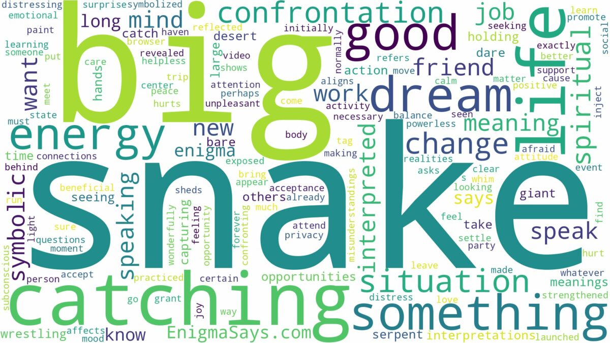 dreaming of catching a big snake and related dreams with their meanings in a word cloud