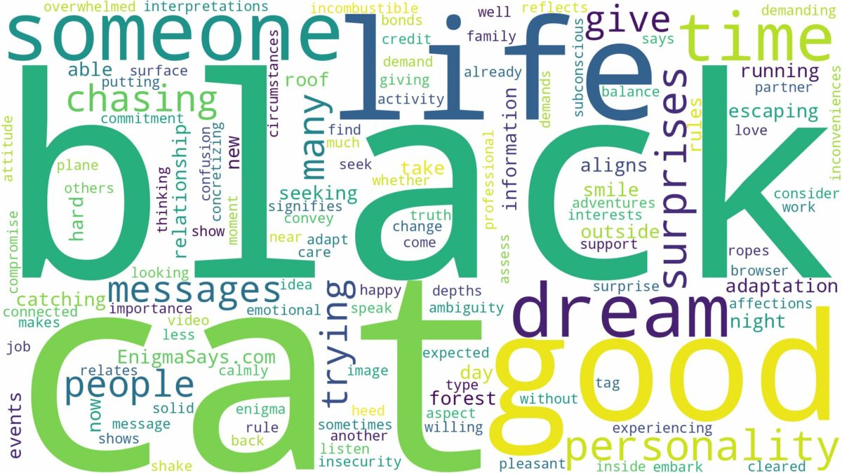 dreaming of chasing black cat and related dreams with their meanings in a word cloud