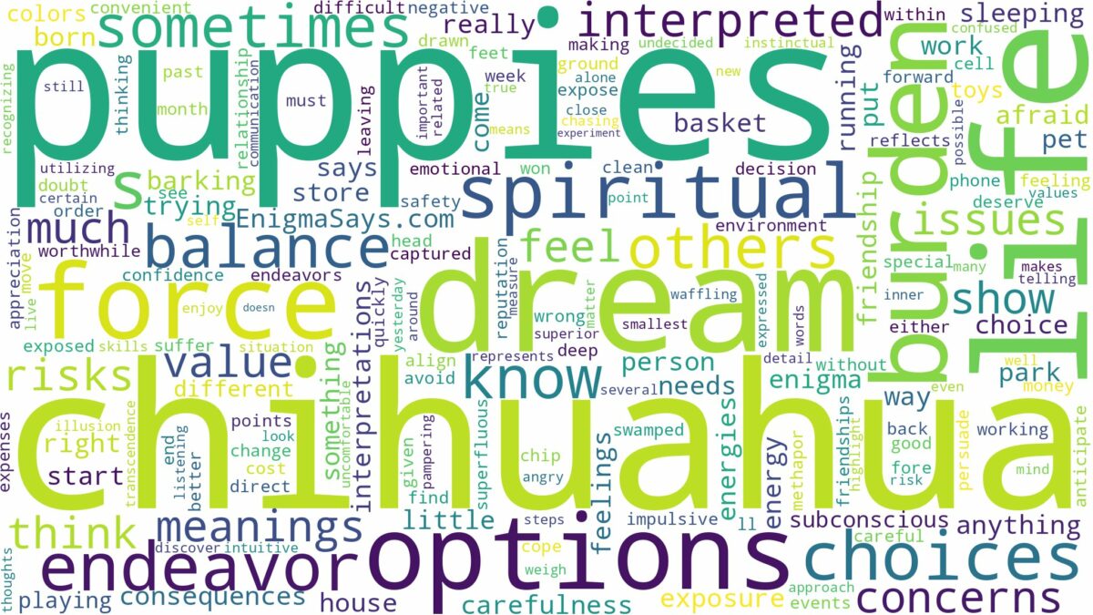 dream about chihuahua puppies and related dreams with their meanings in a word cloud