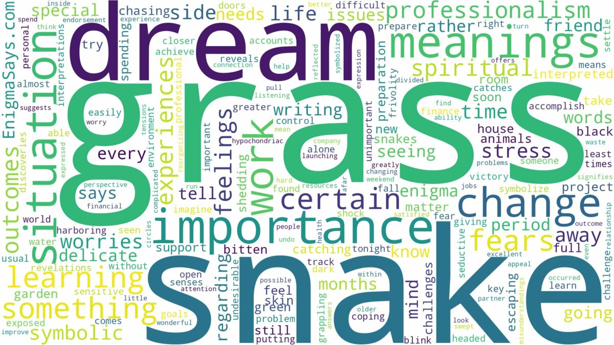 dreams about grass snake and related dreams with their meanings in a word cloud