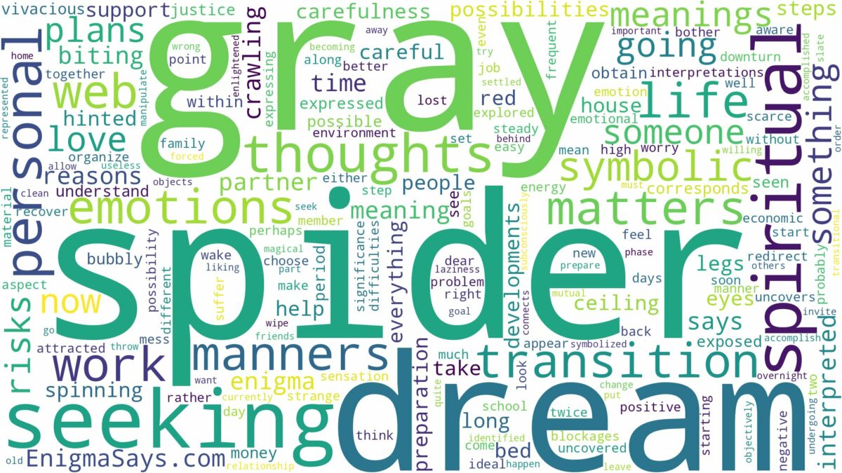 dream about gray spider and related dreams with their meanings in a word cloud