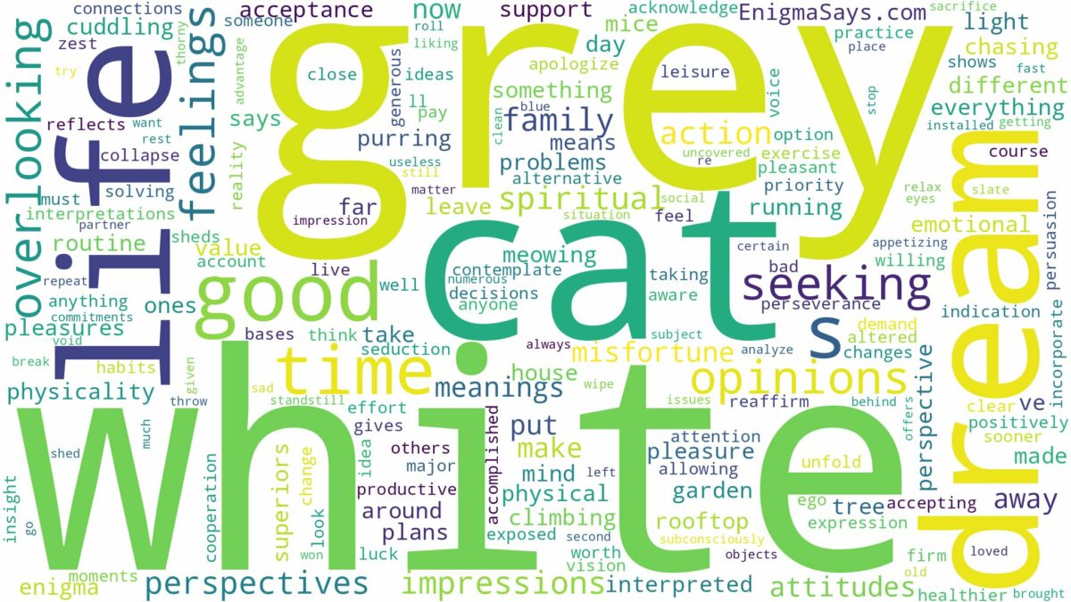 dream about grey and white cat and related dreams with their meanings in a word cloud