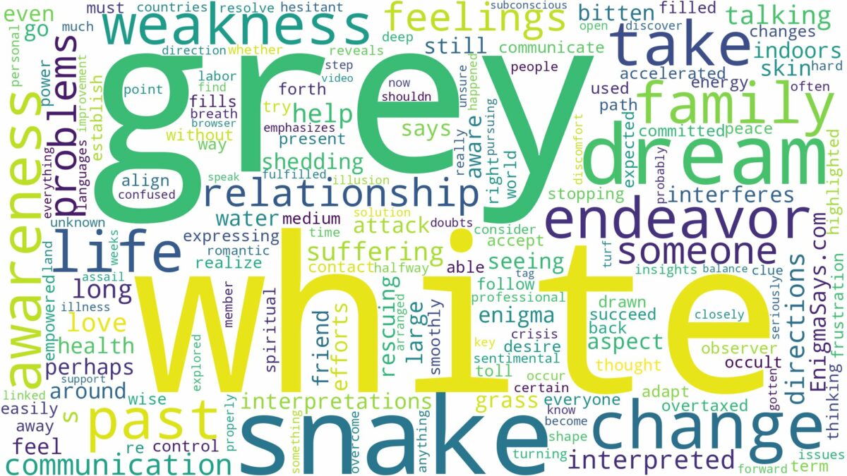 dream about grey and white snake and related dreams with their meanings in a word cloud