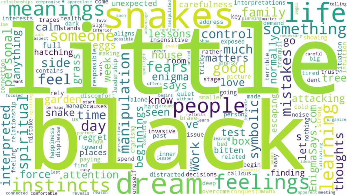 dream about little black snakes and related dreams with their meanings in a word cloud