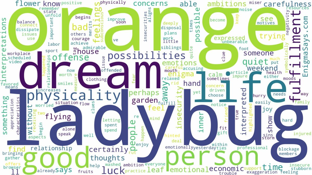 dream about orange ladybug and related dreams with their meanings in a word cloud