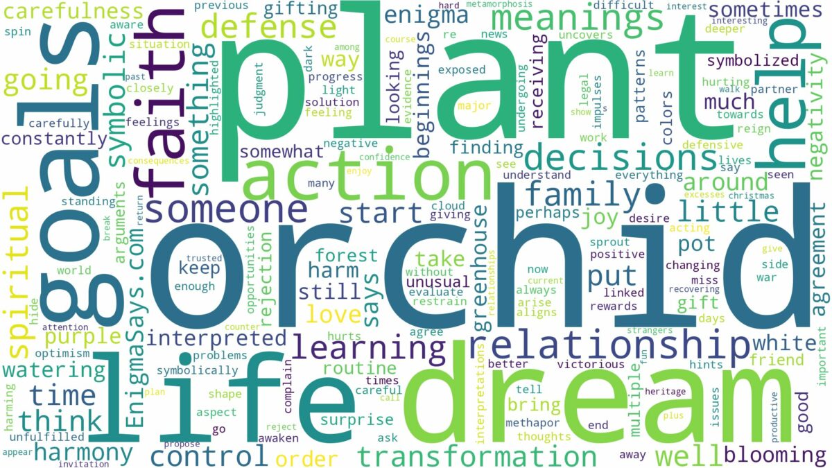 dream about orchid plant and related dreams with their meanings in a word cloud