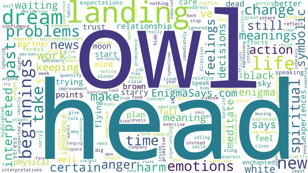 dreaming about owl landing on your head and related dreams with their meanings in a word cloud