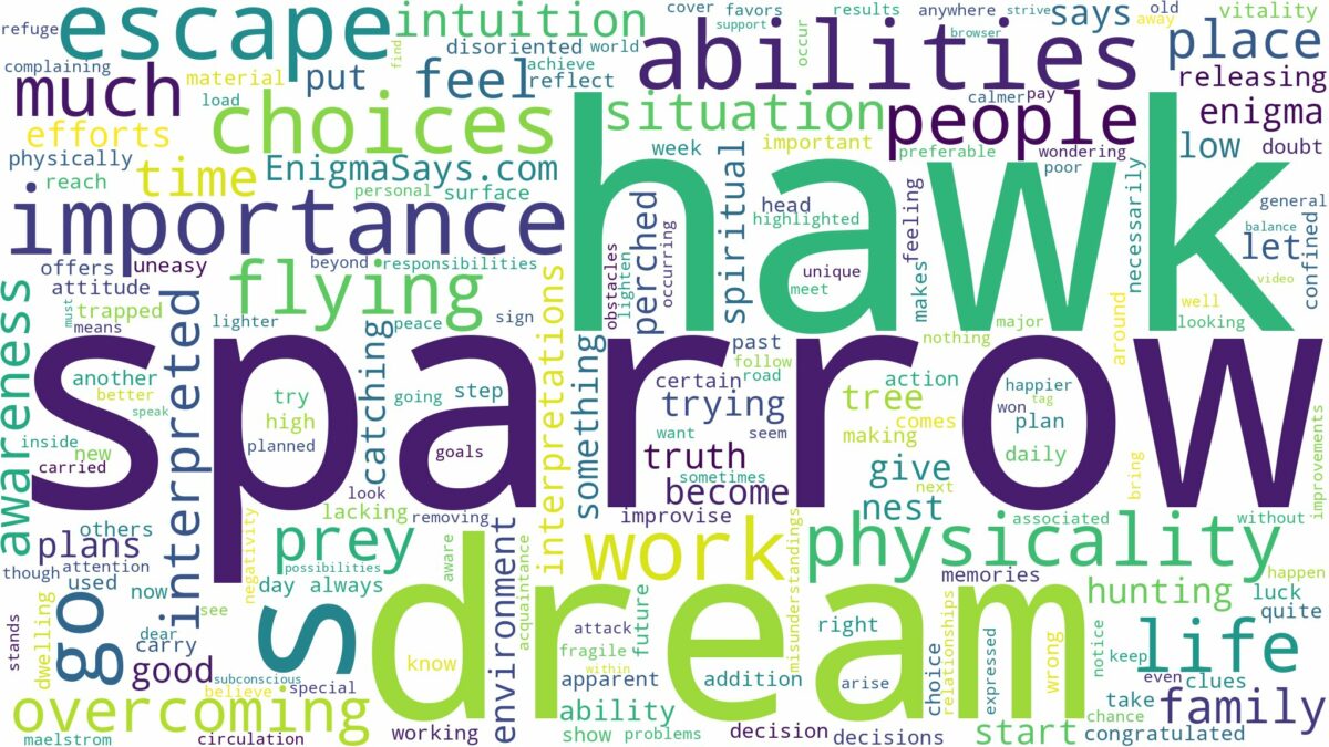 dream about sparrow hawk and related dreams with their meanings in a word cloud