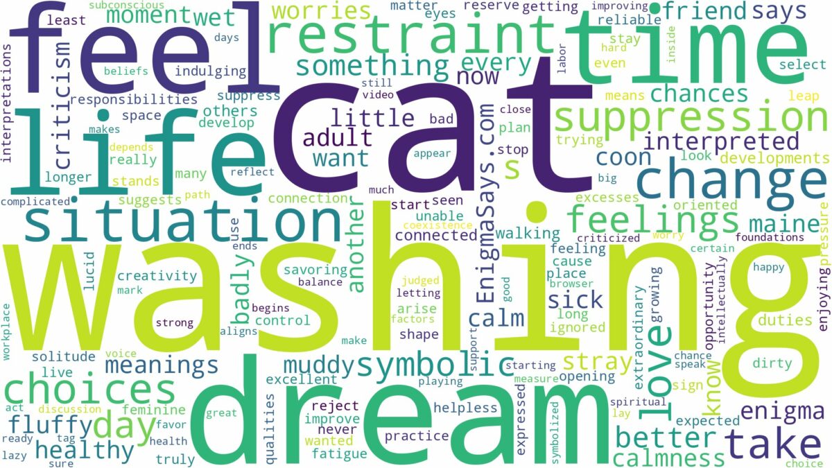 dream of washing cat and related dreams with their meanings in a word cloud