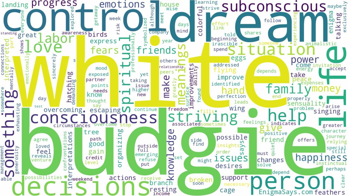 dream about white budgie and related dreams with their meanings in a word cloud