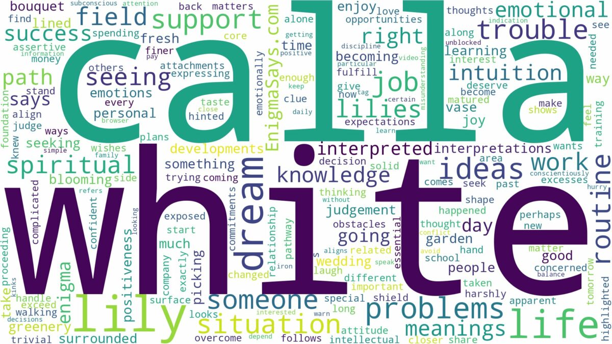 dream about white calla lily and related dreams with their meanings in a word cloud