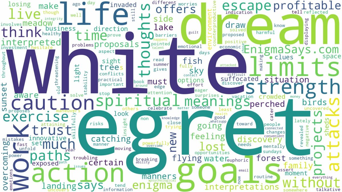 dream about white egret and related dreams with their meanings in a word cloud