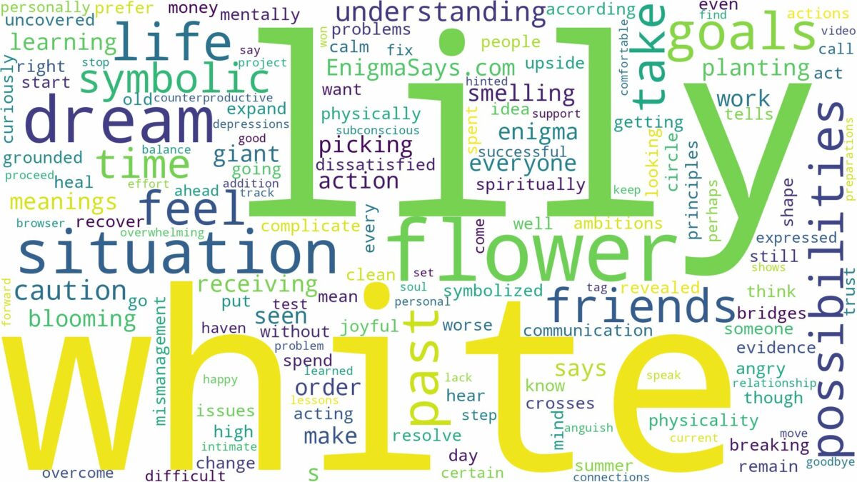 dream about white lily flower and related dreams with their meanings in a word cloud