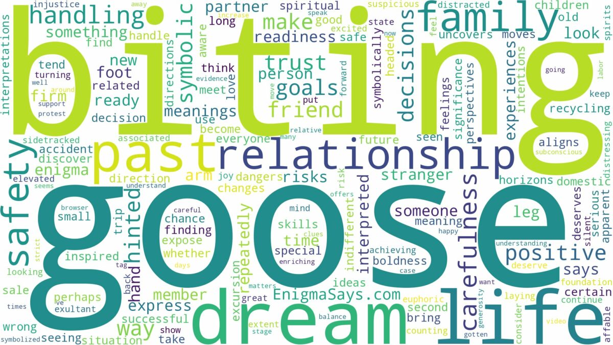 dreaming of goose biting you and related dreams with their meanings in a word cloud