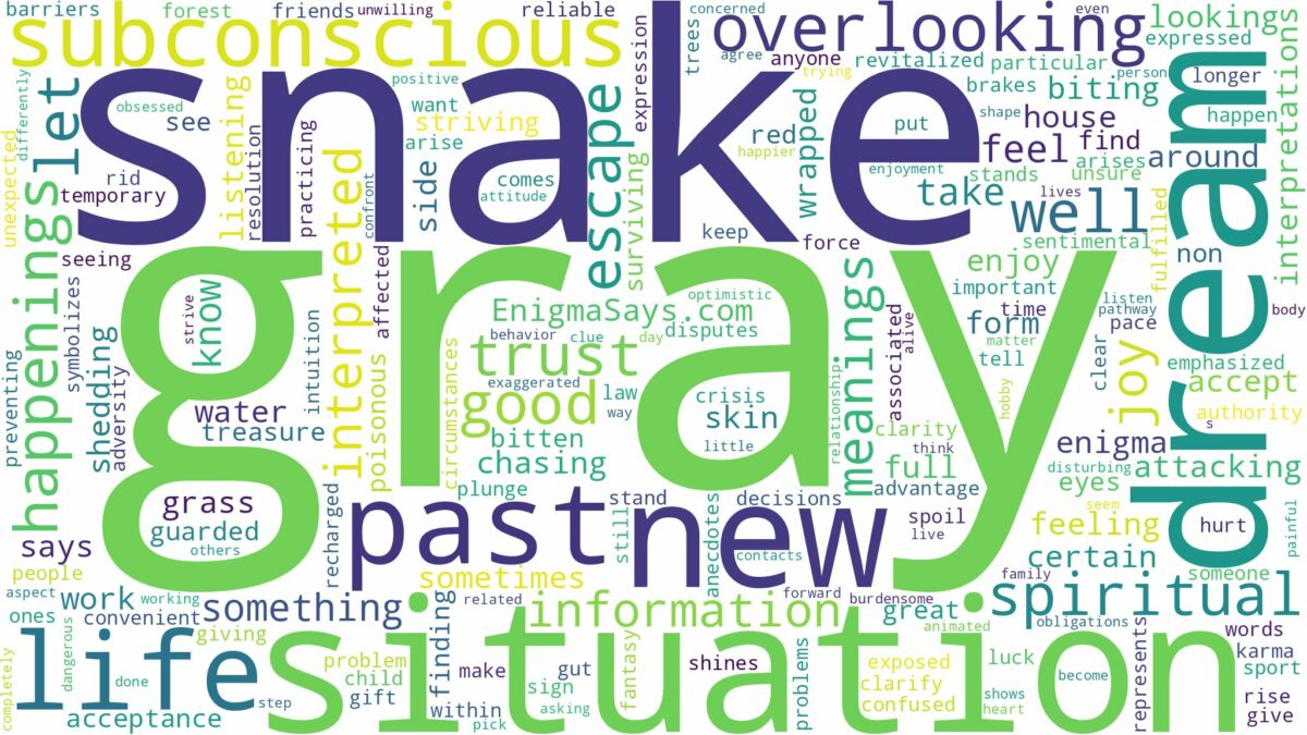 dream about gray snake and related dreams with their meanings in a word cloud