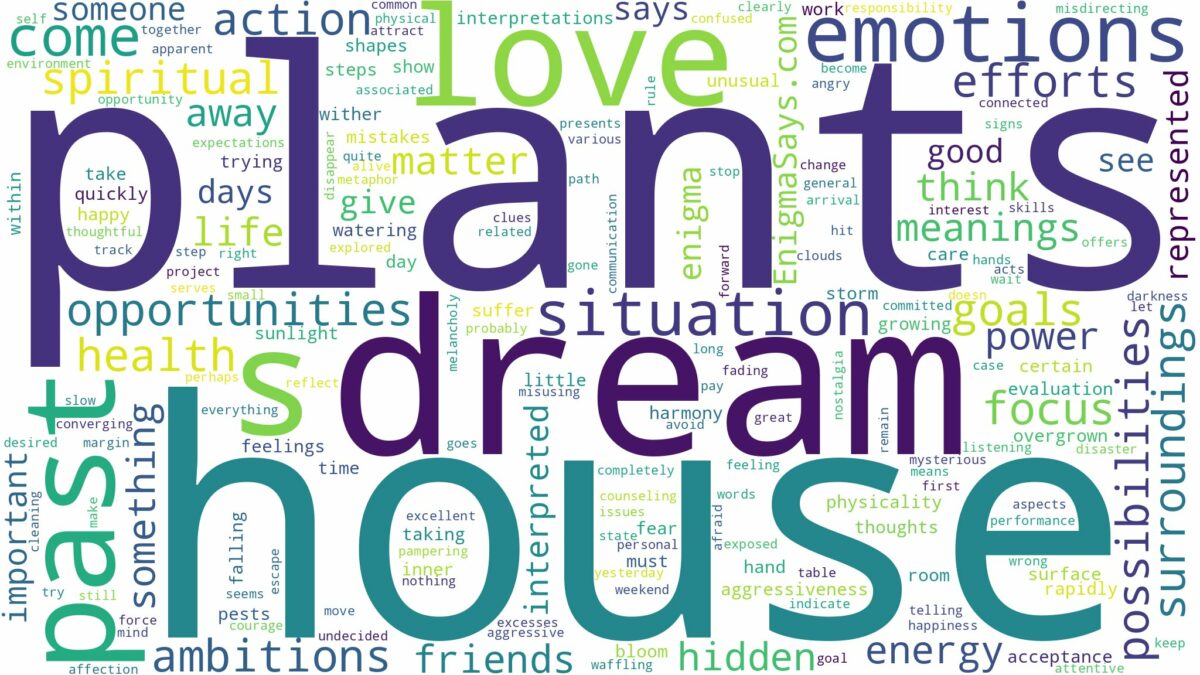 dream about house plants and related dreams with their meanings in a word cloud