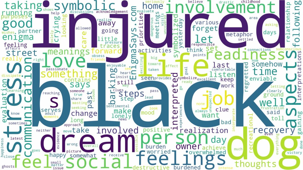 dream about injured black dog and related dreams with their meanings in a word cloud