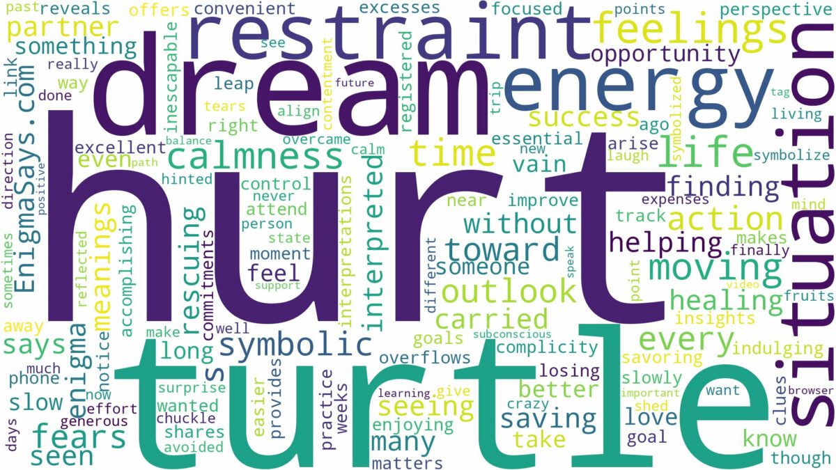 dream about a hurt turtle and related dreams with their meanings in a word cloud