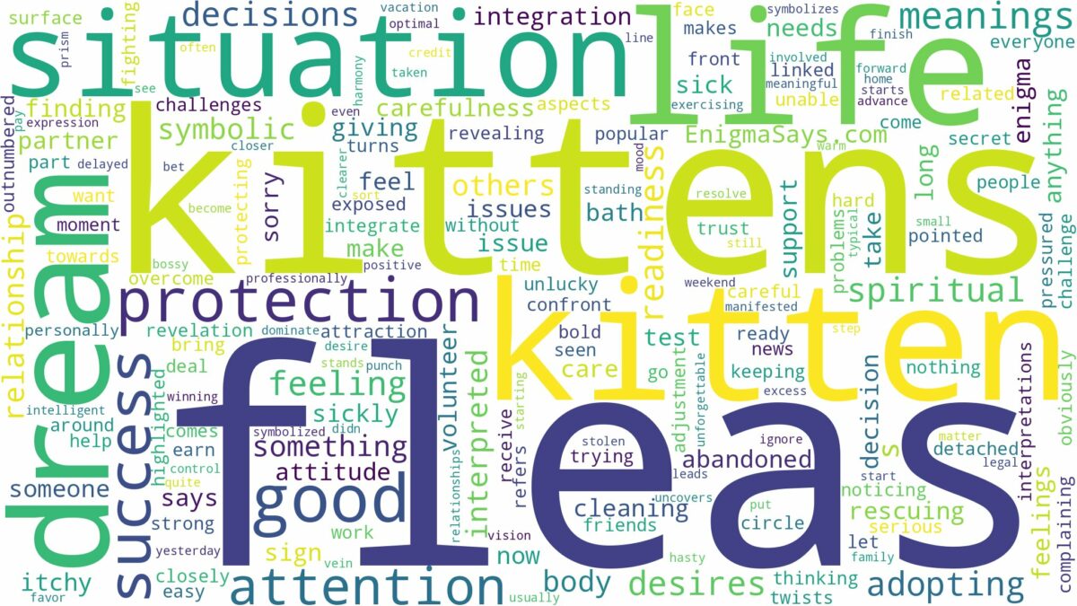 dreams about kittens with fleas and related dreams with their meanings in a word cloud