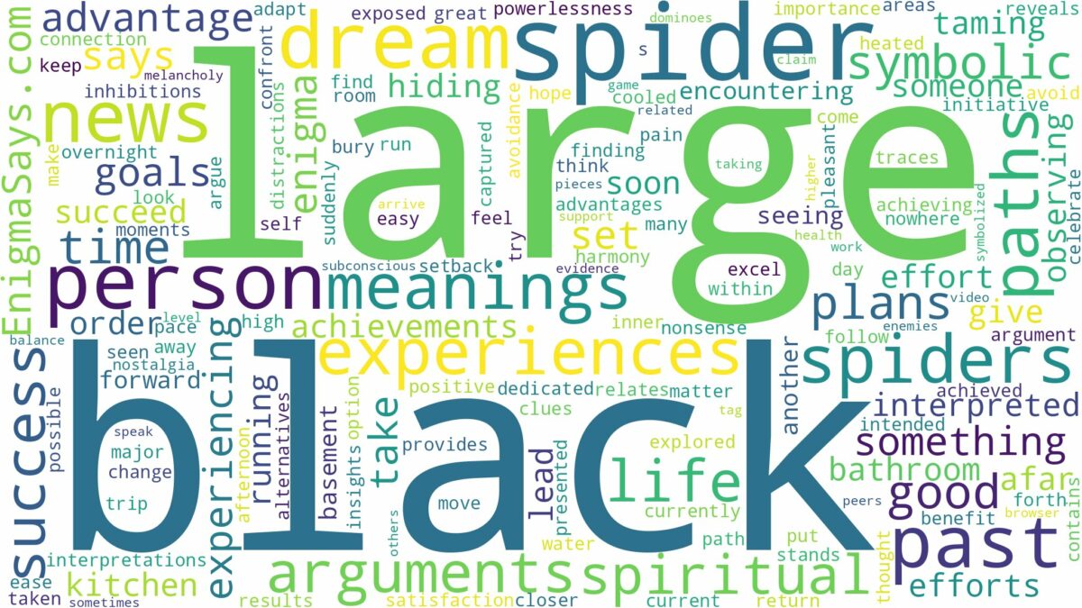 dream about large black spiders and related dreams with their meanings in a word cloud