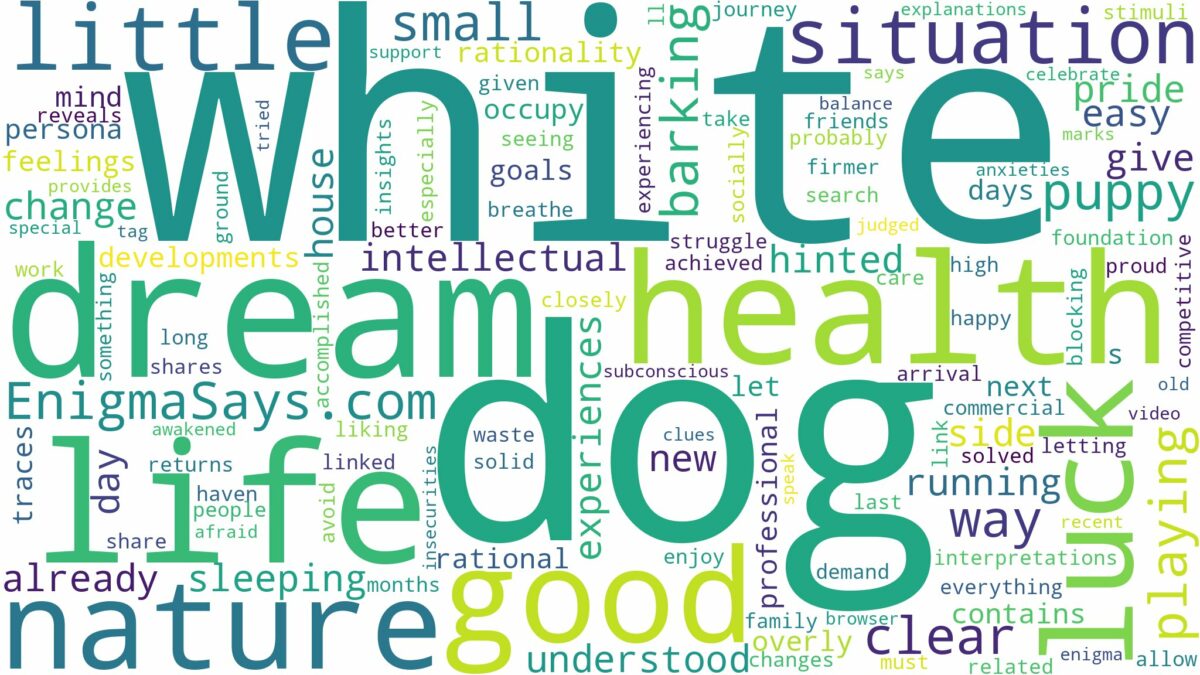 dream about a little white dog and related dreams with their meanings in a word cloud