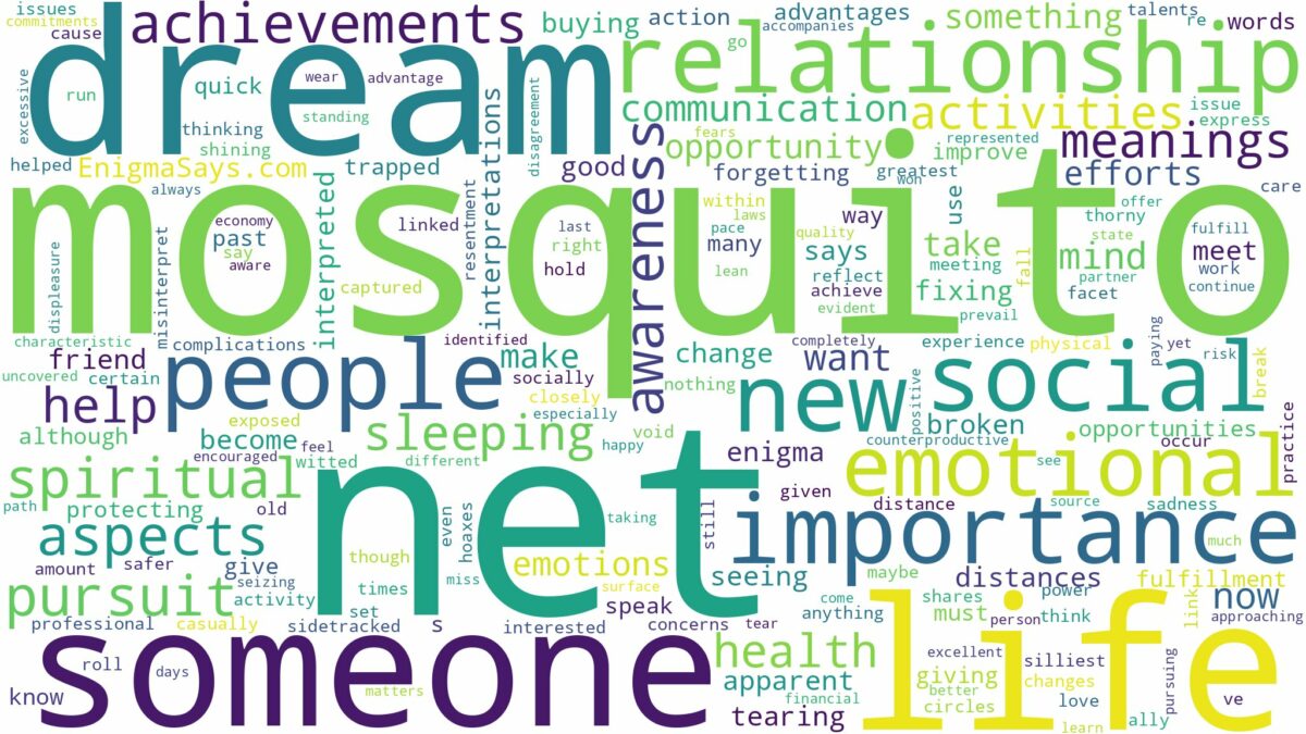 dream about mosquito net and related dreams with their meanings in a word cloud