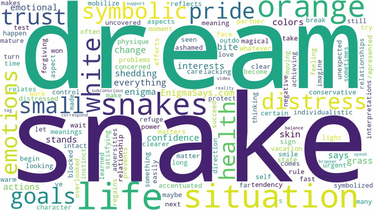 dream about orange and white snake and related dreams with their meanings in a word cloud