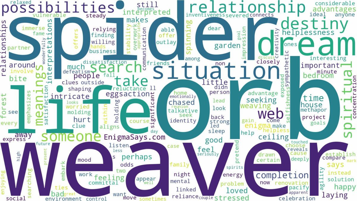 dream about orb weaver spider and related dreams with their meanings in a word cloud