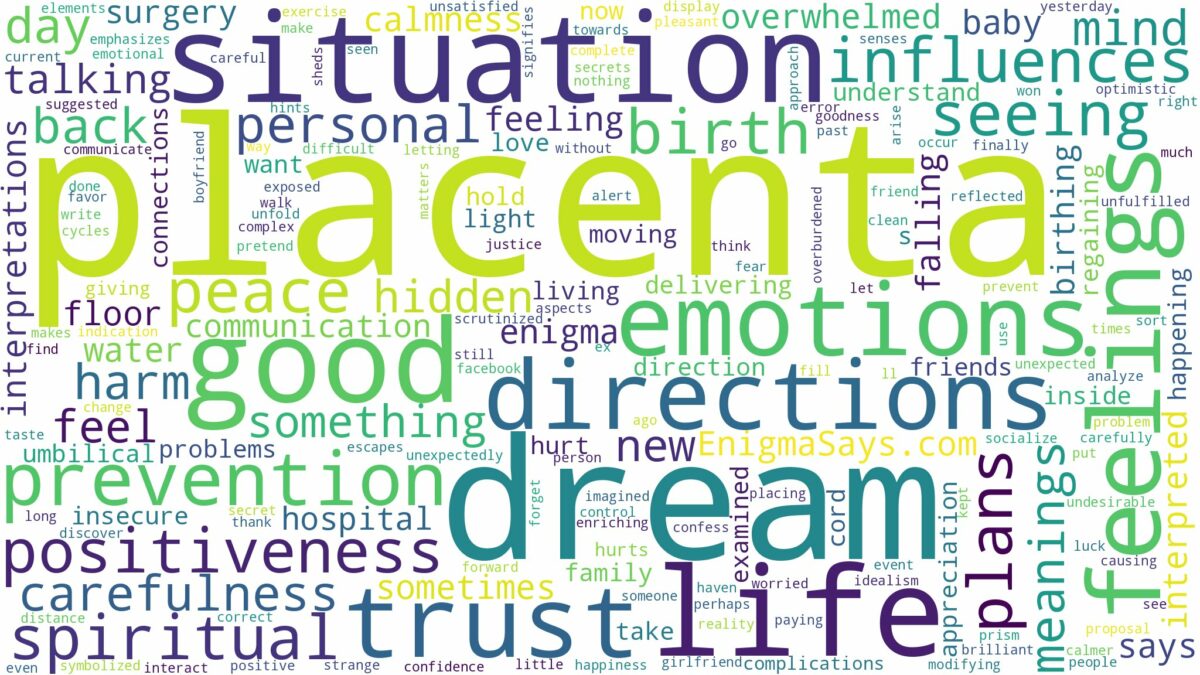 dream about placenta and related dreams with their meanings in a word cloud