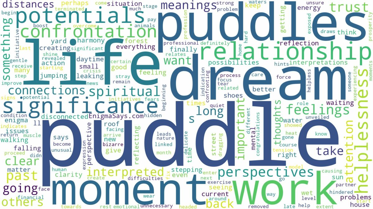 dreams about puddles and related dreams with their meanings in a word cloud