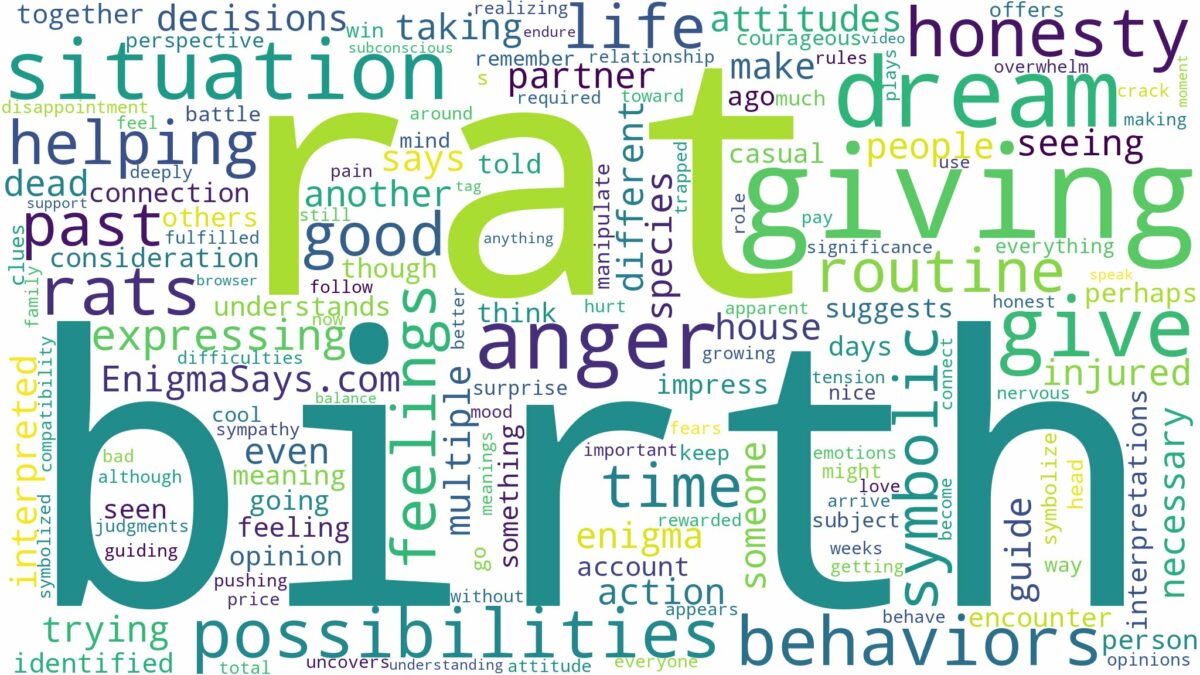 dreaming about rat giving birth and related dreams with their meanings in a word cloud