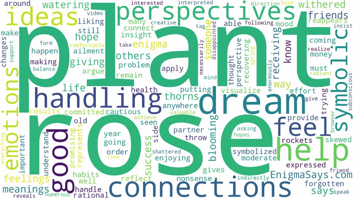 dream about rose plant and related dreams with their meanings in a word cloud