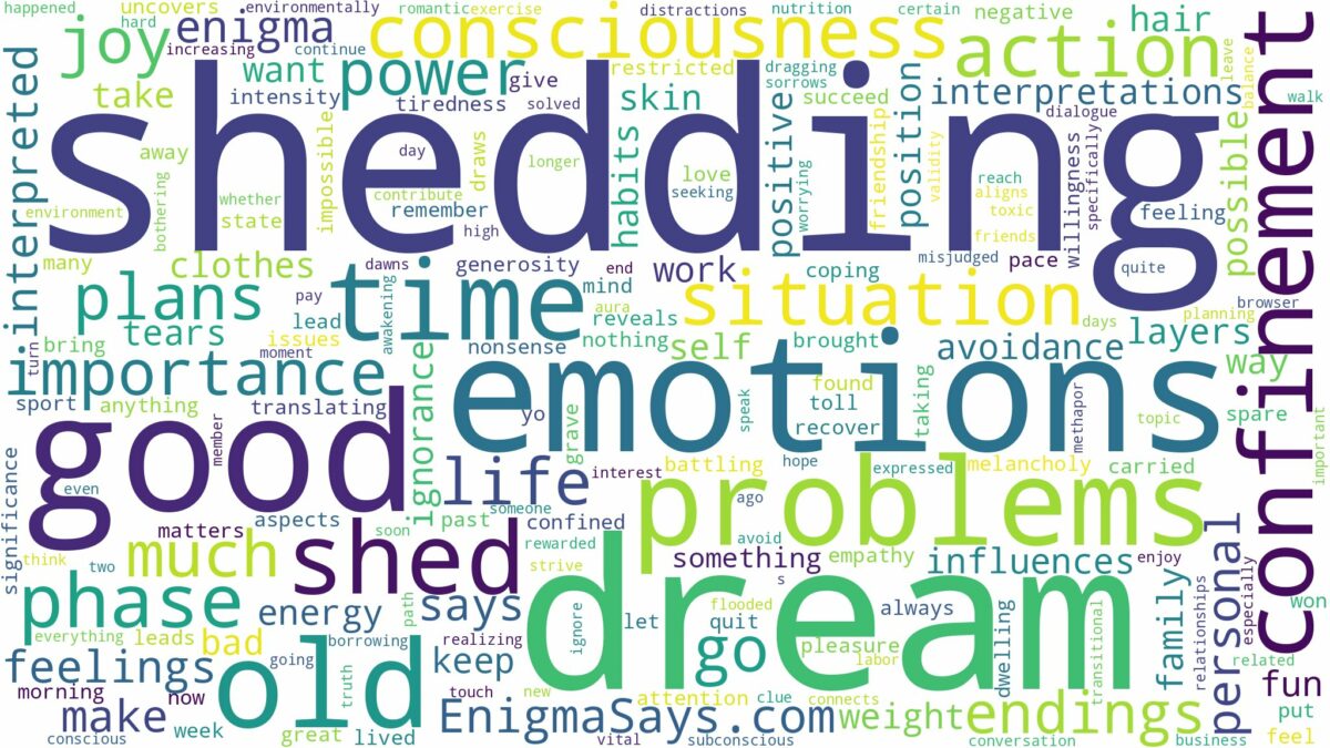 dream about shed and related dreams with their meanings in a word cloud