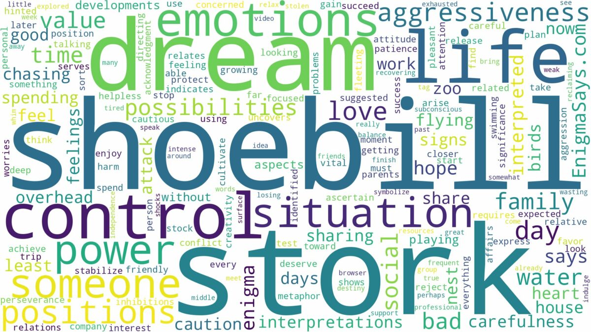 dream about shoebill stork and related dreams with their meanings in a word cloud