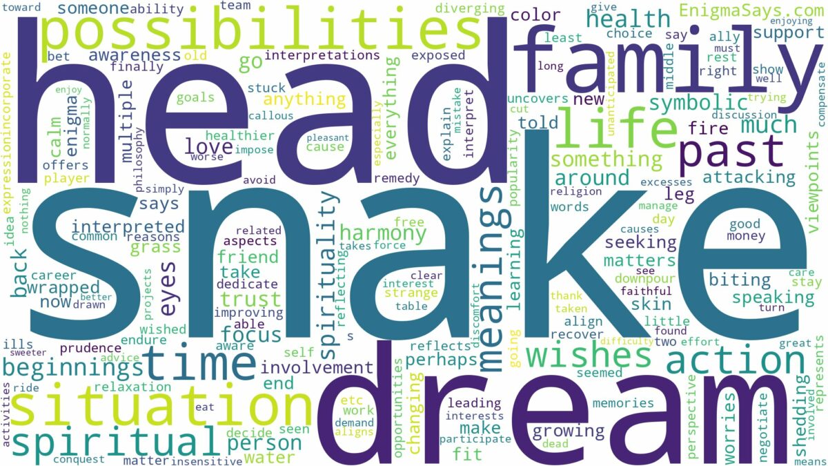 dream about snake head and related dreams with their meanings in a word cloud