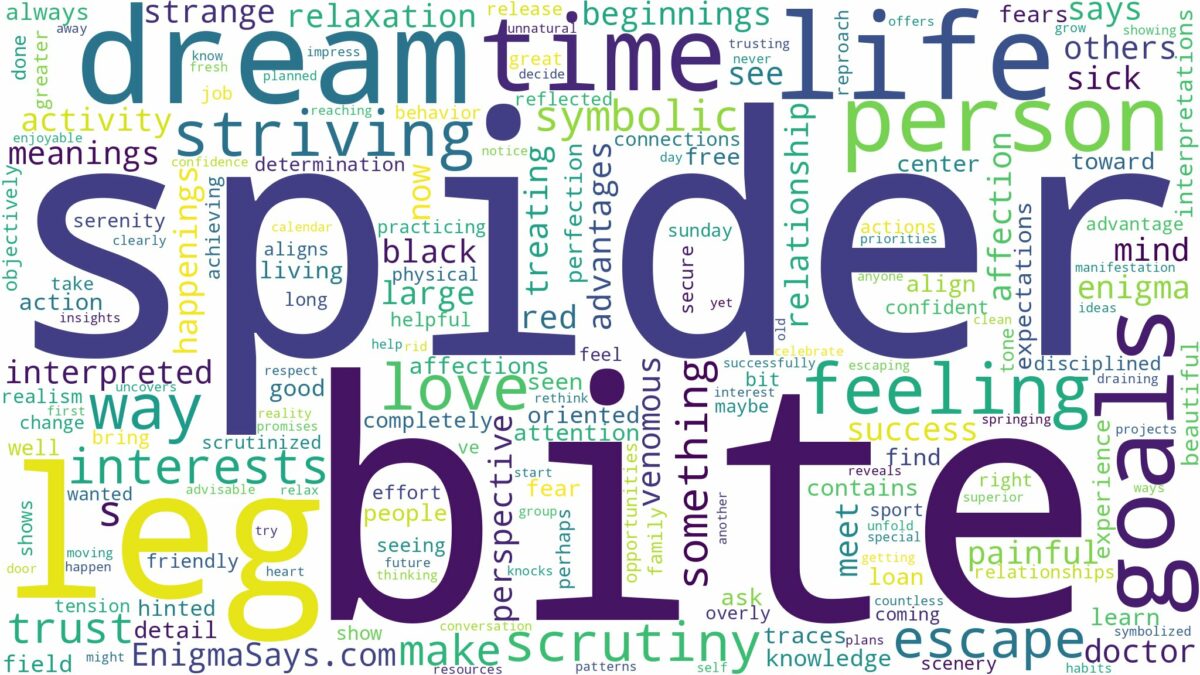 dream about spider bite on leg and related dreams with their meanings in a word cloud